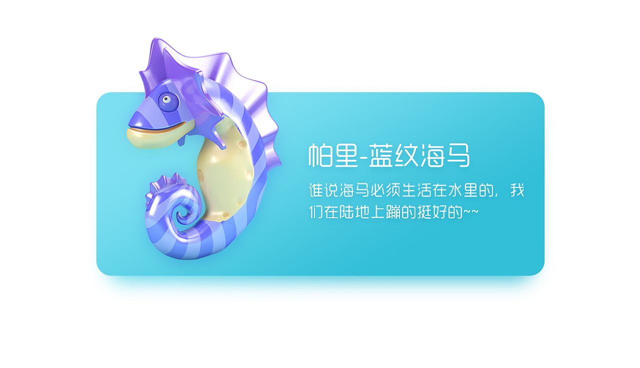 老飞飞蓝纹海马